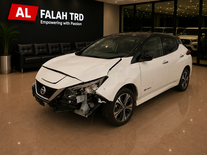 NISSAN LEAF E+G